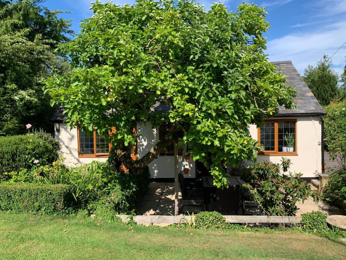 Newton Farmhouse Whiteparish Eksteriør bilde